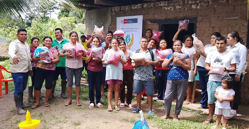 Productores de Santa Cruz fortalecerán sistemas agroforestales con apoyo del IIAP San Martín Perú