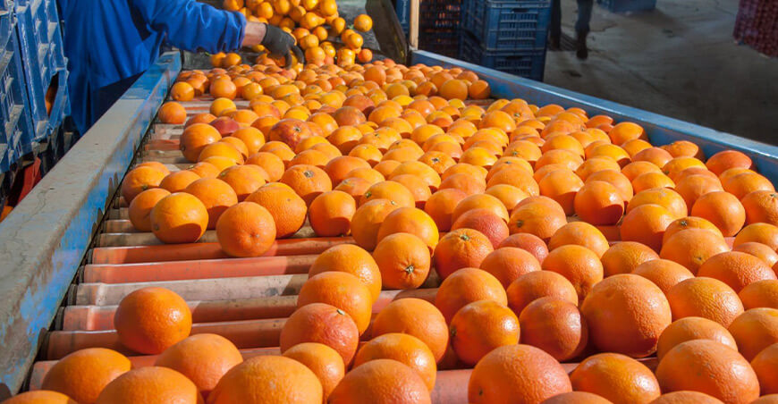 importación de naranjas