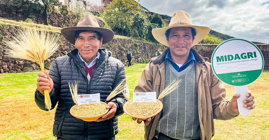 cebada INIA 447 – Luzmalta Perú