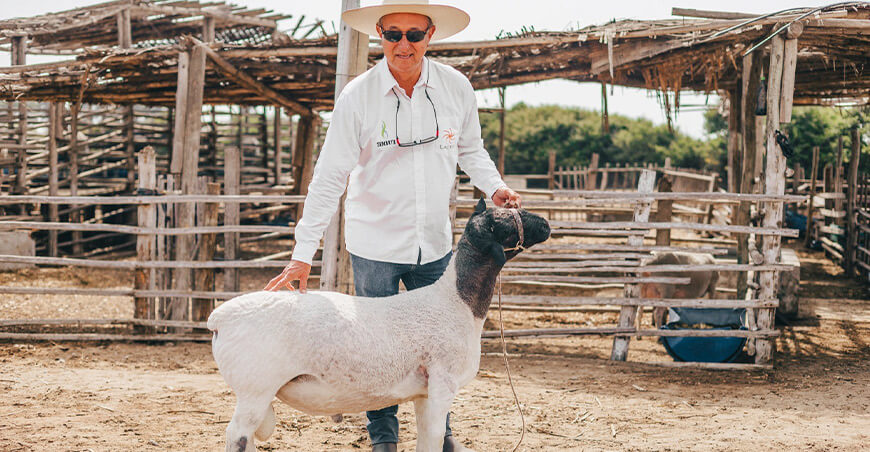 Ing. Iván Mesía Lizaraso, gerente general de Láctea S.A.