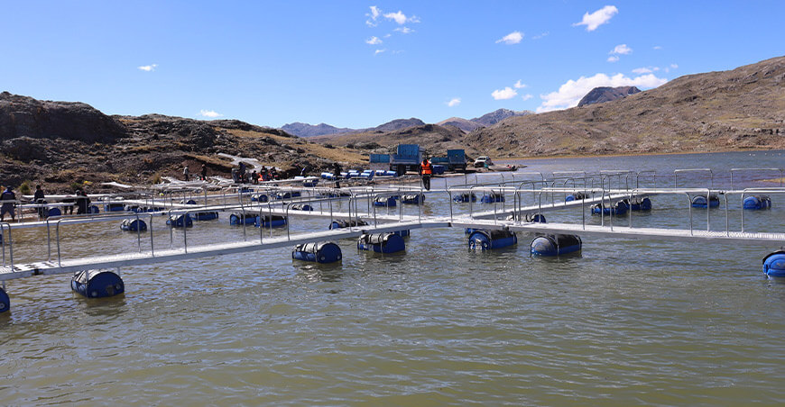 Instalan jaulas flotantes para incrementar producción de truchas en Santa Ana Huancavelica Perú