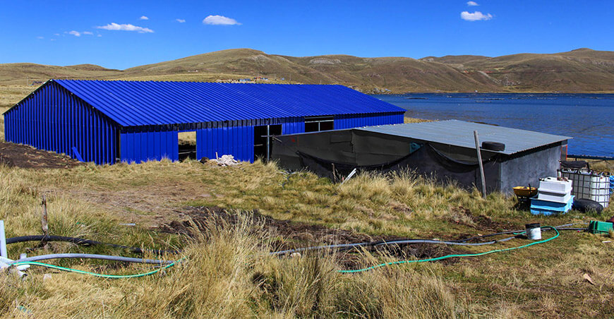 Mejoran módulos de producción de alevinos de pejerrey en Santa Lucía Puno Perú