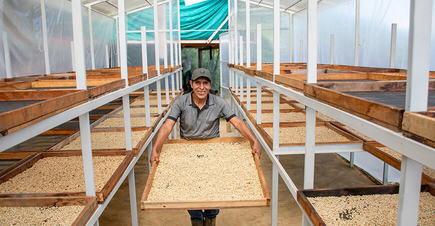 productor módulos secado cafés Comunidad Cerrito La Libertad el I Festival del Café Pichari Cusco Perú