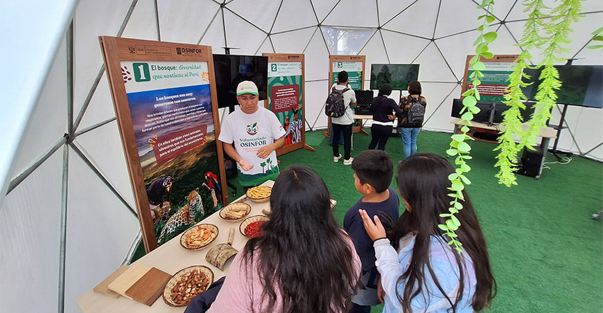 Osinfor lanzó el primer programa nacional de voluntariado por los bosques del Perú