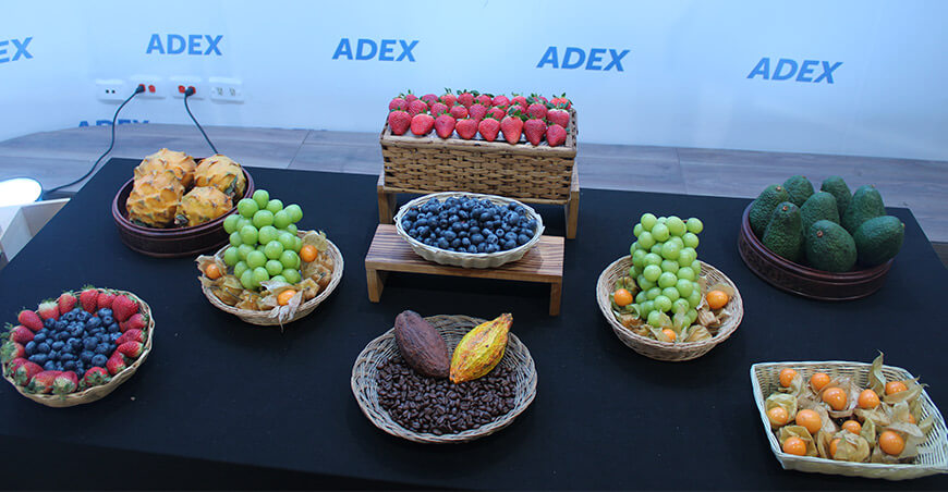 Perú agroexportaciones peruanas