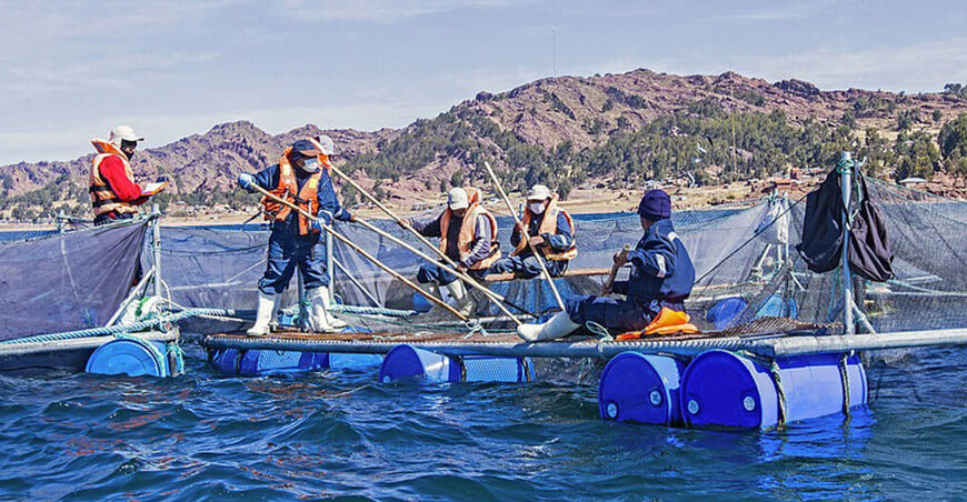 acuicultores pescadores artesanales Perú