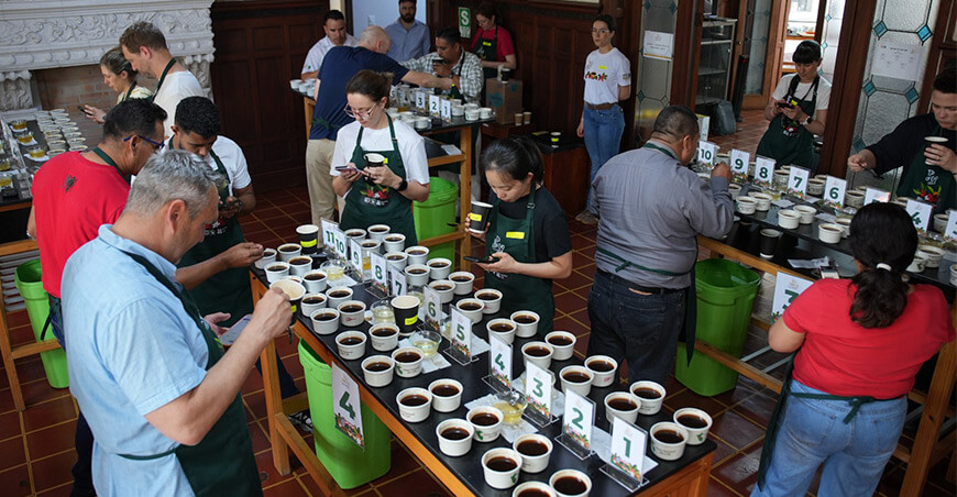 Premian a los mejores Cafés Fairtrade en Golden Cup de Centroamérica y México