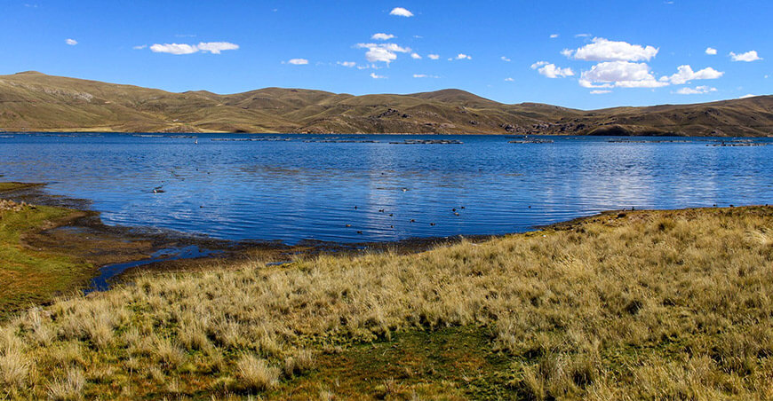 Mejoran módulos de producción de alevinos de pejerrey en Santa Lucía Puno Perú