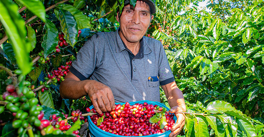 productor Augurio Comunidad Cerrito La Libertad el I Festival del Café Pichari Cusco Perú