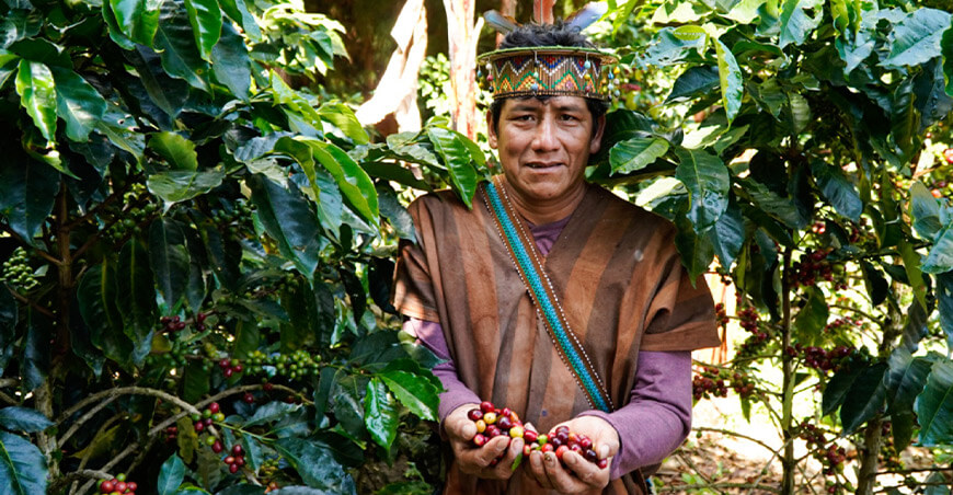 productor de café