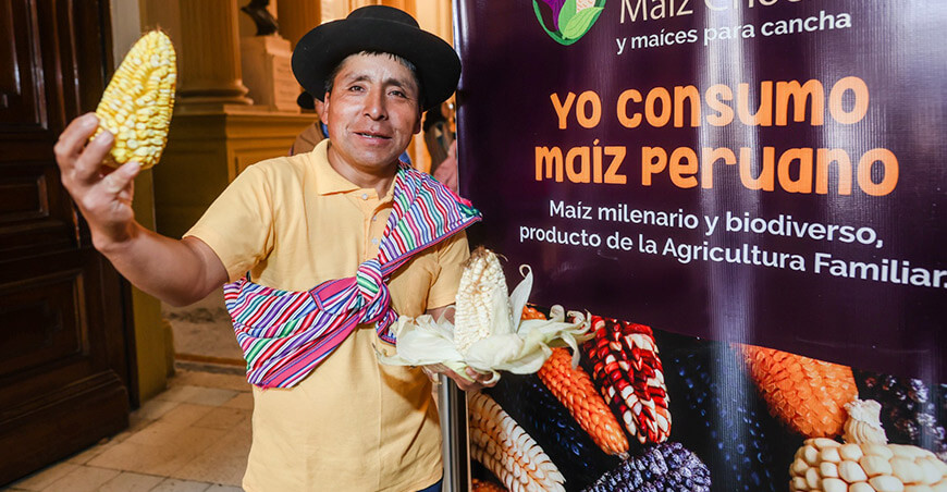 Día Nacional del Maíz Morado, Maíz Choclo y Maíces para Cancha Perú productor