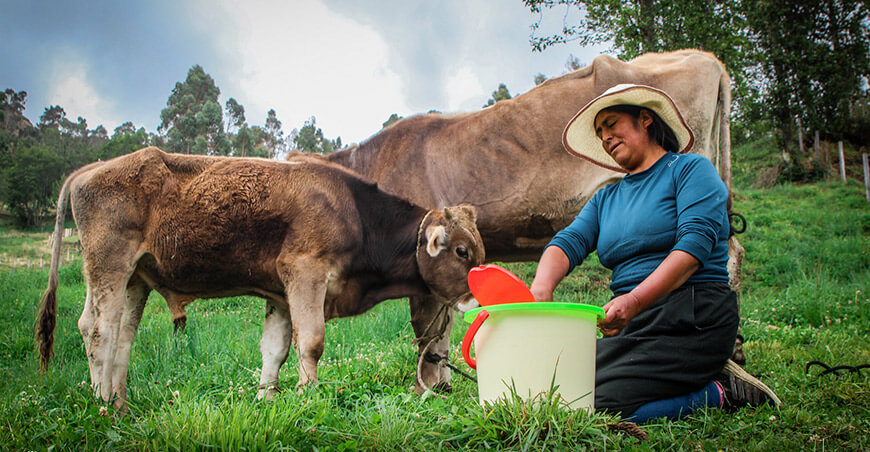 productora producción leche