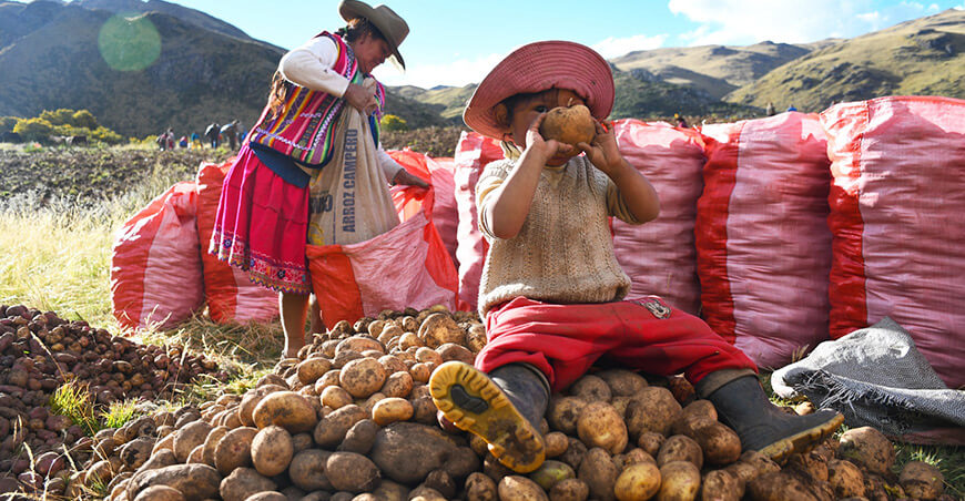 Productora de la comunidad campesina de Chanka, distrito de Huanoquite, provincia de Paruro, región Cusco.