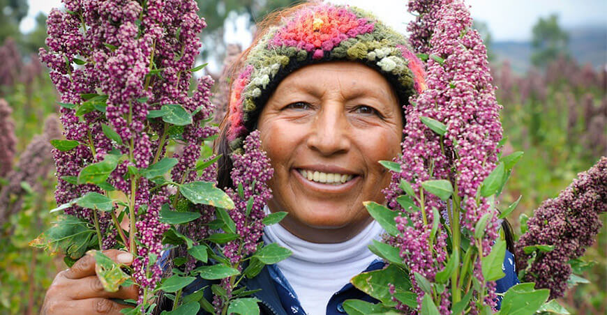 productora de cultivo de quinua Perú