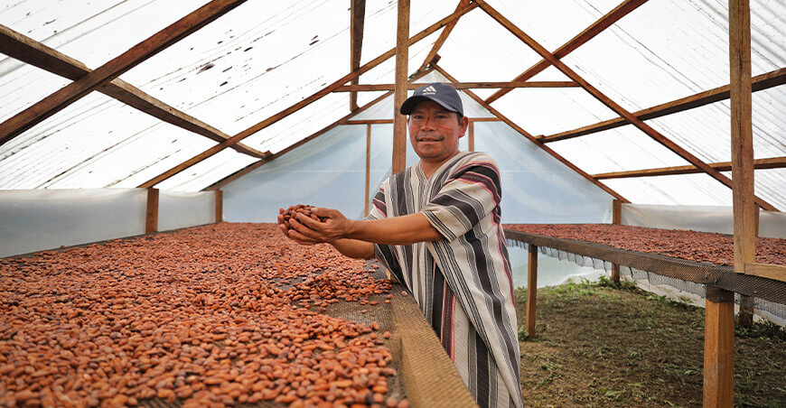 productores de cacao Central Asháninka del Río Ene Junín Vraem Devida Perú