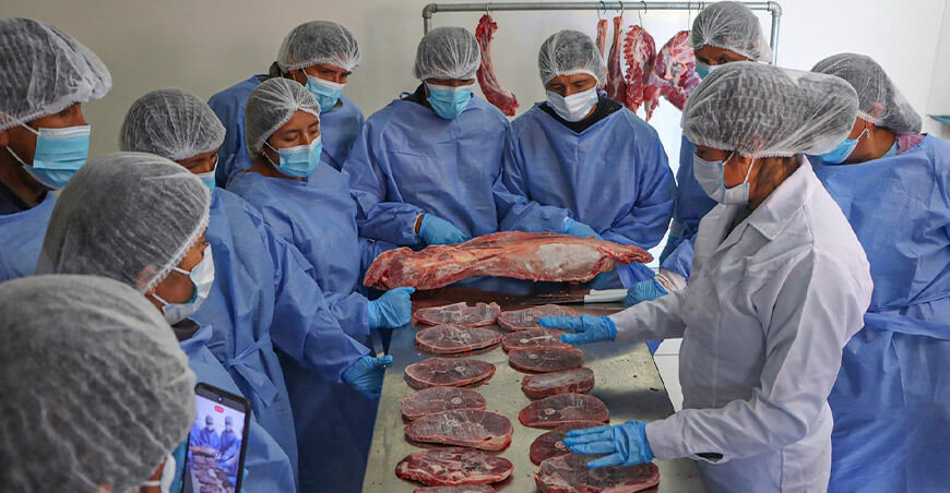 Productores de Canchis se capacitan en buenas prácticas y procesamiento empaque al vacío de carne de alpaca Cusco Perú