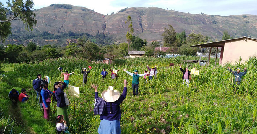 INIA capacitación productores maíz Perú