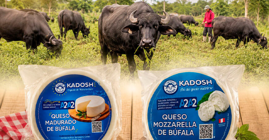 Quesos de búfala y oveja llegarán por primera vez al Salón del Queso Peruano 2026