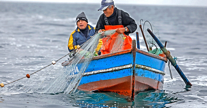 Sanipes entregó 25 habilitaciones sanitarias a pescadores de Paita para impulsar la formalización del comercio hidrobiológico Piura Perú