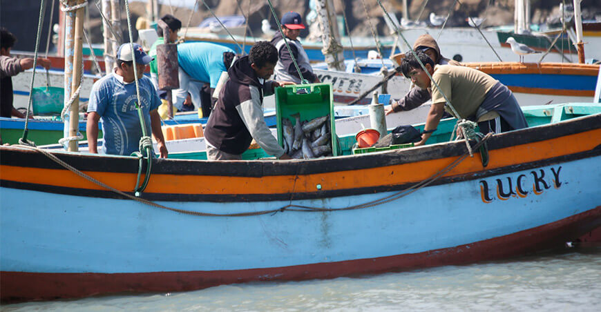 Sanipes entregó 25 habilitaciones sanitarias a pescadores de Paita para impulsar la formalización del comercio hidrobiológico Piura Perú
