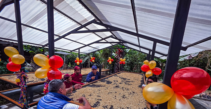 Modernos secaderos solares mejorarán calidad del café de Machupicchu Cusco Perú