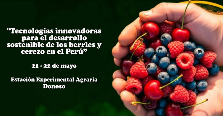 Huaral será sede de seminario sobre tecnologías innovadoras para la producción de berries y cerezo