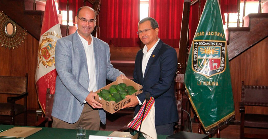 ProHass y la UNALM firman convenio para fortalecer la investigación y formación en el sector paltero