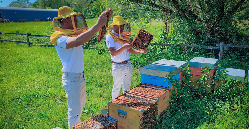 UNTRM y empresa apícola de Italia fortalecen formación internacional en producción sostenible de miel
