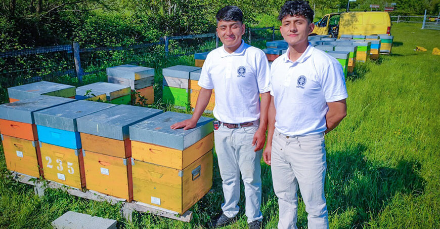 UNTRM y empresa apícola de Italia fortalecen formación internacional en producción sostenible de miel