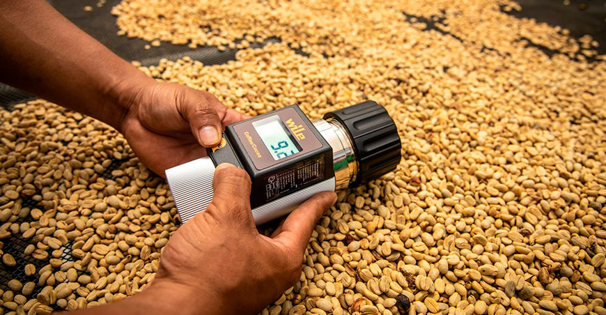 Participa en la V Subasta de Cafés Especiales Yanatile Cusco Perú Devida