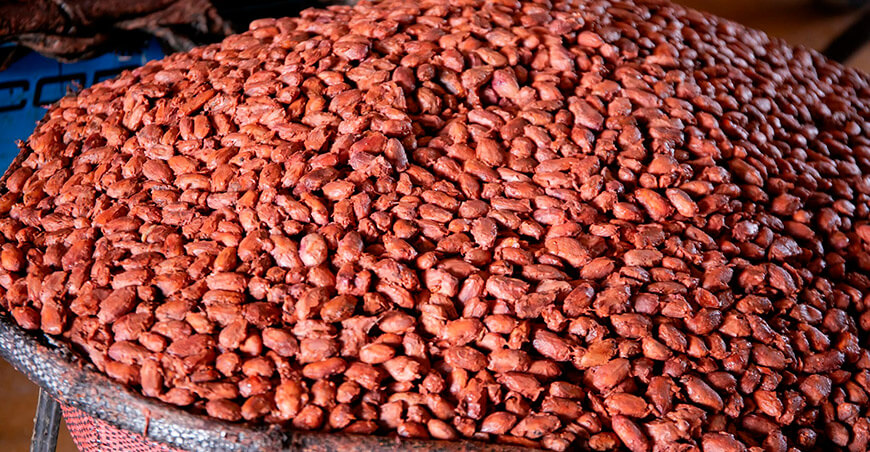 Perú exportación cacao grano peruano
