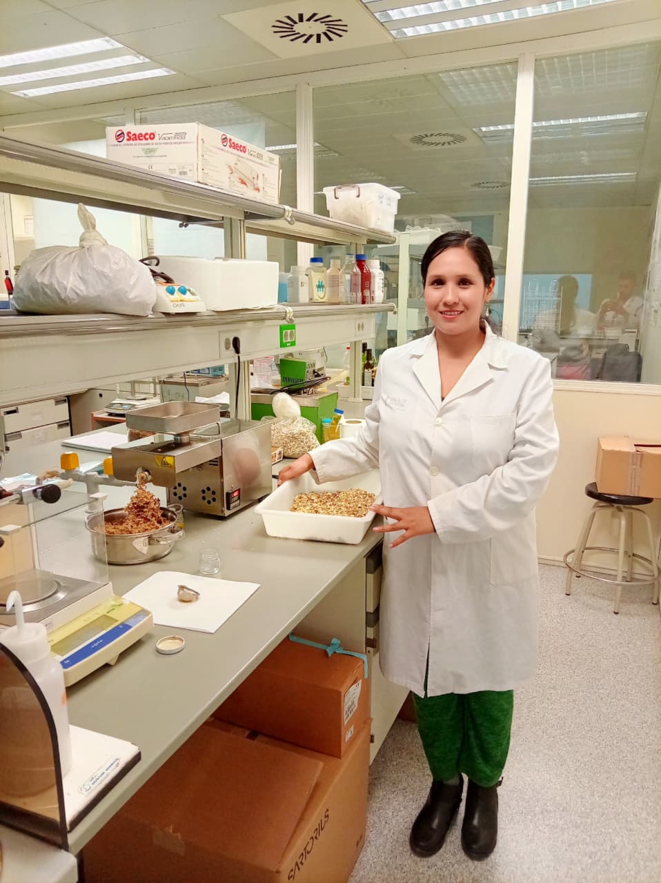Investigación de la UNALM busca elaborar abono orgánico a partir de residuos de semillas de moringa