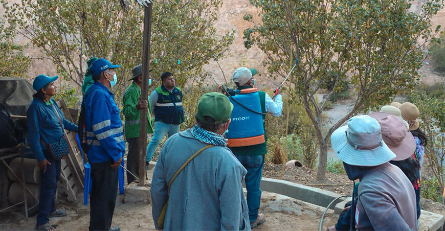 Ilabaya intensifica acciones para combatir la mosca de la fruta Tacna Perú