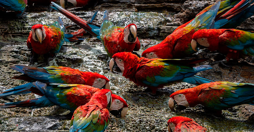 Loreto celebra la creación de su sexta Área de Conservación Regional (ACR), denominada Aguas Calientes Maquia