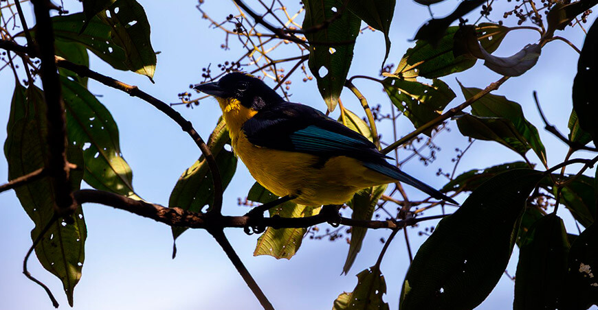 Área de Conservación Regional Chontabamba-Huancabamba contribuirá a la conservación de las Yungas peruanas Pasco Perú