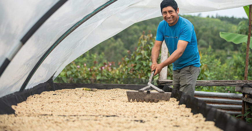 Productor Miguel Lapa Gutiérrez de Anchihuay Ayacucho apuesta por cafés especiales y valor agregado para conquistar nuevos mercados Devida Perú