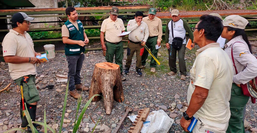 Guardaparques refuerzan acciones para combatir la tala ilegal en áreas naturales protegidas amazónicas Perú