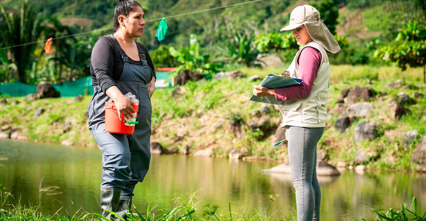 Piscicultora Carmen Ayala lleva el paco del Vraem a mercados nacionales Devida Perú