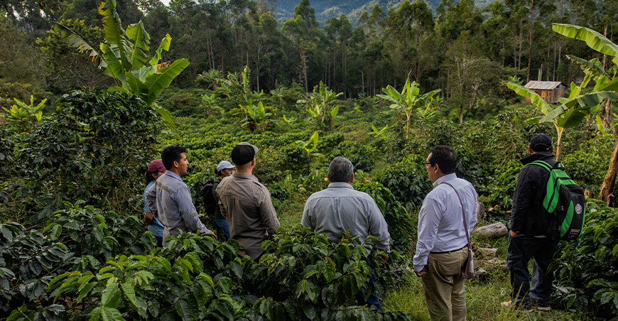 Cemcavir productoras de café de Villa Rica asistida por Devida amplía su acceso al mercado europeo 