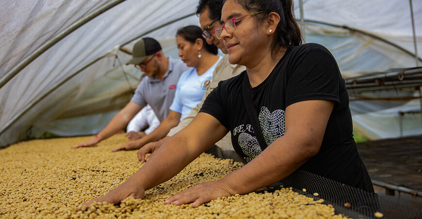 Cemcavir productoras de café de Villa Rica asistida por Devida amplía su acceso al mercado europeo