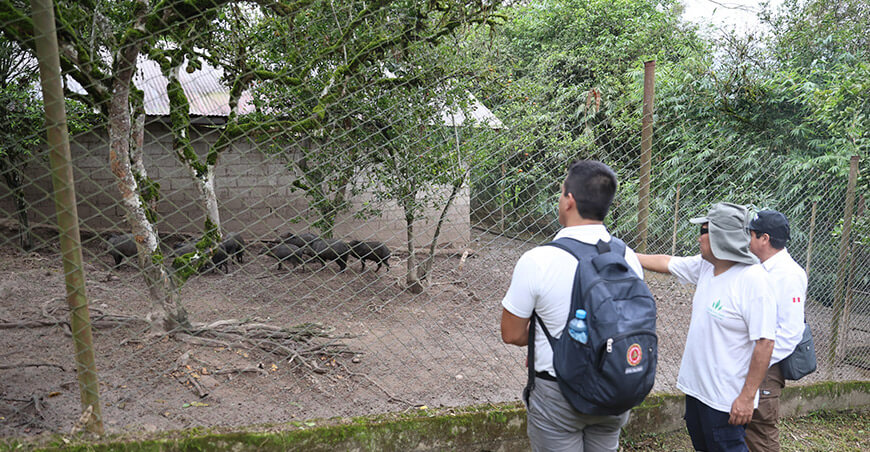 Junín se consolida como destino para conocer y proteger la fauna silvestre del Perú Osinfor