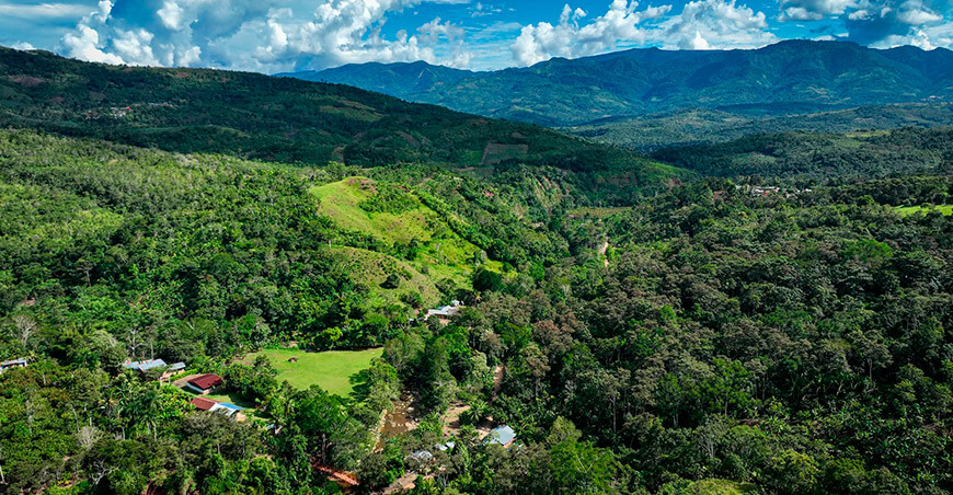 producción sostenible de miel en la comunidad nativa Chumbakihui, en la región San Martín Perú conservación bosques