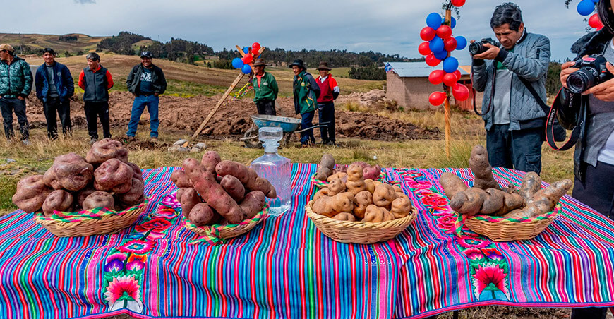 Acobamba da un paso histórico hacia la industrialización de la papa nativa Asociación Unión Pomavilca Huancavelica Perú