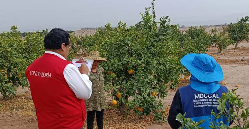 : Contraloría observa dirección de proyecto agrícola de S/4.9 millones a cargo de profesionales sin perfil técnico agrario Tacna Perú