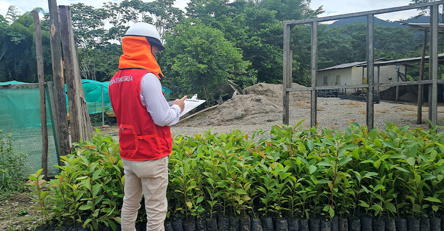 Advierten riesgos en proyecto de recuperación de bosques en Bagua y Condorcanqui en Amazonas Perú