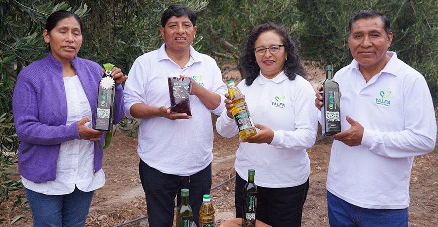 Cooperativa Agraria Yalpa Ltda ganó medallas internacionales con la calidad de su aceite de oliva extra virgen Tacna Perú
