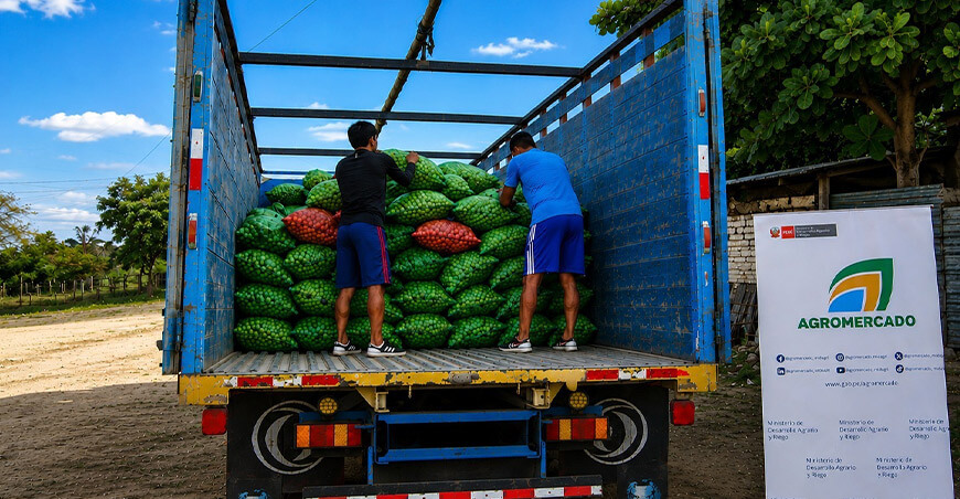 Productores Tumbes venta de limón 