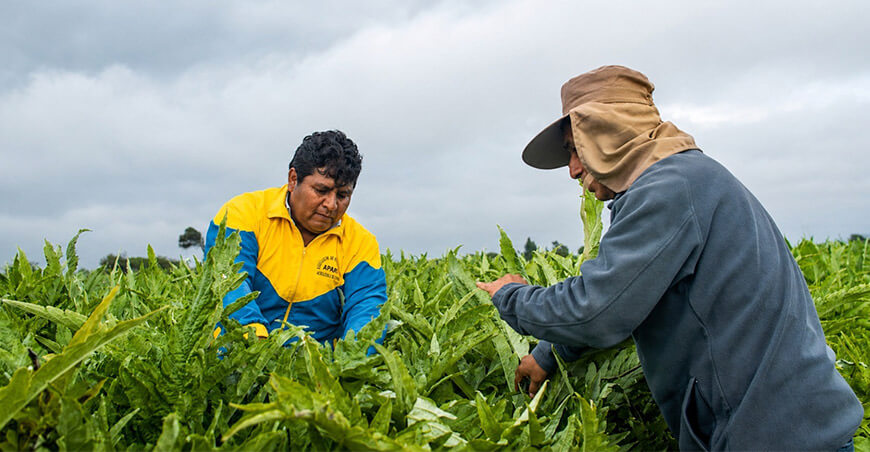 Danper presenta medición pionera del índice de pobreza multidimensional en su cadena de valor agrícola