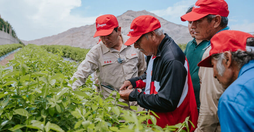 Danper presenta medición pionera del índice de pobreza multidimensional en su cadena de valor agrícola