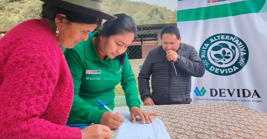 Devida impulsará cultivo de lúcuma en beneficio de familias de Urpay Toccate Ayacucho Perú